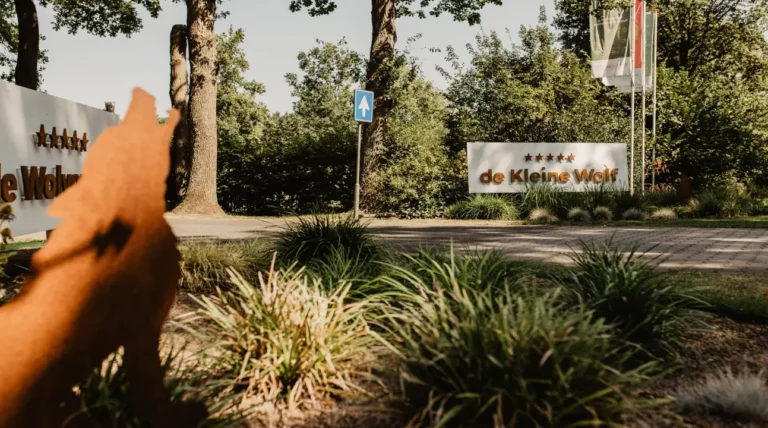 Strategische marketing voor De Kleine Wolf